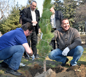 Глава Саратова принял участие в высадке деревьев на субботнике